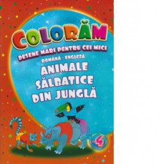 Coloram desene mari pentru cei mici. Animale salbatice din jungla