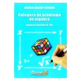 Culegere de probleme de algebra. Clasele 9-12 - Gheorghe Adalbert Schneider