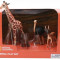 Set 4 figurine National Geographic NTM02001, Girafa, Elefantel, Strut si Antilopa