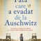 Fata care a evadat de la Auschwitz, Ellie Midwood