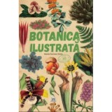 Cumpara ieftin Botanica Ilustrata, Maria Carmen Soria - Editura DPH