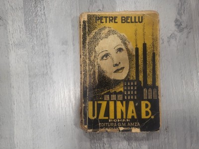 Uzina B.de Petre Bellu foto