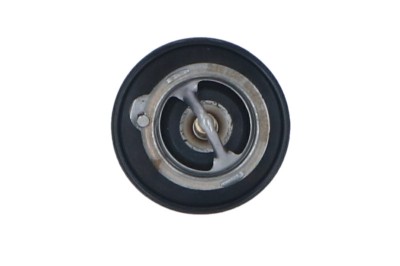 NRF 725143 EASY FIT termostat,lichid racire foto