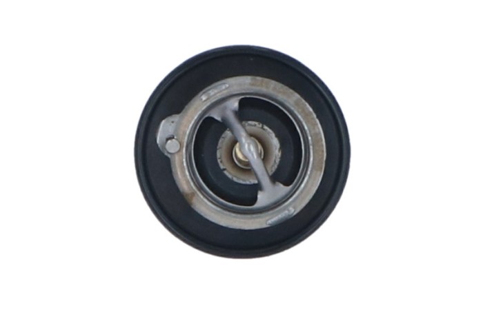 NRF 725143 EASY FIT termostat,lichid racire
