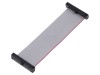 Cablu panglică SAMTEC IDC 76,2mm FFSD-15-D-03.00-01-N cu conectori IDC ambele părți