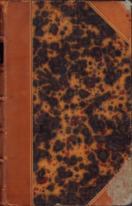 HST C2164 L&#039;oiseau 1858 Michelet