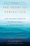 The Heart of Perfection: How the Saints Taught Me to Trade My Dream of Perfect for God&#039;s