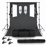 Cumpara ieftin Set studio iluminare cu 2 softbox, 2 becuri fluorescente spiralate 145W, black screen, clame pentru panza, geanta transport