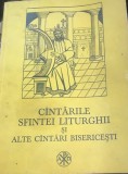 AMS2 Religie - Cantarile Sfintei Liturghii