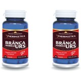 Pachet Branca Marelui Urs 60cps+60cps (50% reducere la al doilea produs)