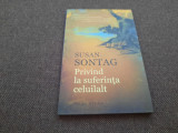 Susan Sontag &ndash; Privind la suferinta celuilalt, Humanitas