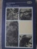 Tarile Americii Centrale - Constantin Bucur (1982, Stiintifica si Enciclopedica) Geografie, Harta Lumii, Hardcover, 334 pagini