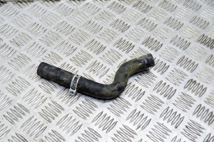 Furtun de lichid de răcire TESLA MODEL S 2017 OEM: 6007343-00-D 11753337