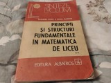 Principii și structuri fundamentale in matematica de liceu