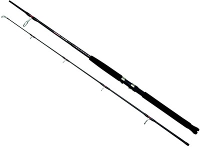Lanseta Ugly Stik Bigwater Boat, 20-30lbs, 2.10m, 2seg foto