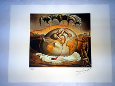 Salvador Dali Lithography 50x65 Bfk Rives foto