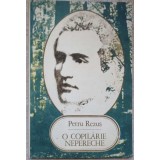 O COPILARIE NEPERECHE-PETRU REZUS-91091