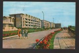 CPIB 21405 - CARTE POSTALA - MANGALIA. PE FALEZA, RPR, Circulata, Fotografie