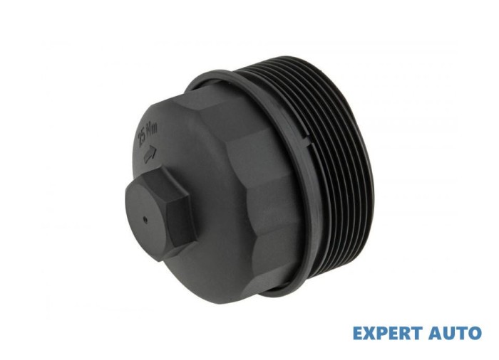 Capac filtru ulei Volkswagen Golf 5 (2003-2009)[1K1] #1