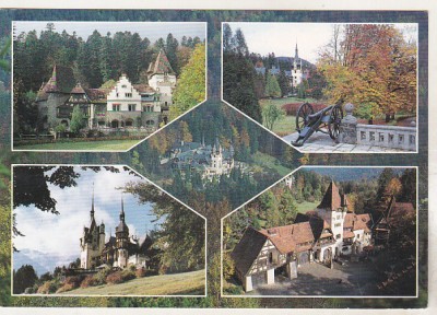 bnk cp Sinaia - Complexul Muzeu Peles - necirculata foto