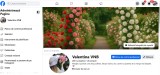 Pagina de facebook