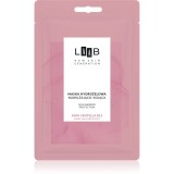 AA Cosmetics LAAB 100% Centella B12 mască hidrogel cu efect de hidratare 1 buc