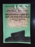 Adrian Brisca, Radu Ciuceanu - Rezistenta Armata din Muntii Fagaras (2007), Brosata, Istorie militara