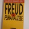 Adolfo Fernandez Zoila Freud si psihanalizele