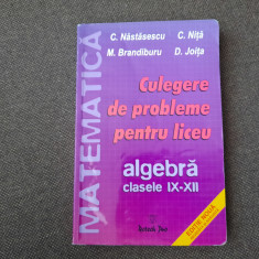 CULEGERE DE PROBLEME PENTRU LICEU CLASELE IX-XII C NASTASESCU 2004