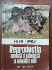 Reproductia normala si patologica la animalele mici- Filea I. Ivana foto