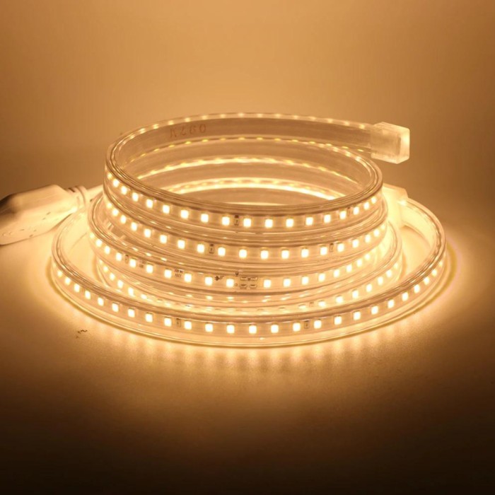 Instalatie tip banda LED, 100m, 220V, controller, alb rece/cald