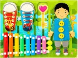 Joc montessori, xilofon, dezvoltare gandire logica, distinctie culori,