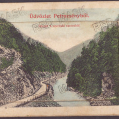 4966 - PETROSANI, HD, Leporello - old postcard + 10 mini photocards, unused 1908