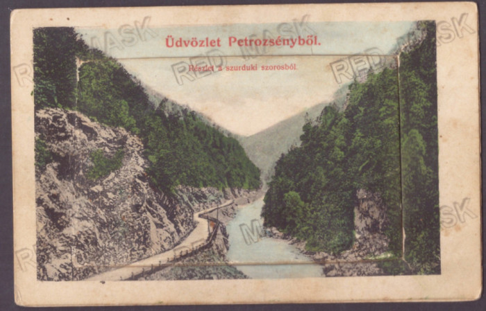 4966 - PETROSANI, HD, Leporello - old postcard + 10 mini photocards, unused 1908