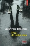 Frica de umbra mea Roman brosat Cezar Paul-Badescu Polirom carte beletristica moartea
