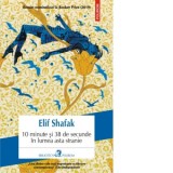 10 minute si 38 de secunde in lumea asta stranie - Elif Shafak, Ada Tanasa