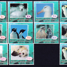 DB1 Fauna Polara Pasari Dep. Ross 10 v. 1994 + 1 v. 1995 MNH