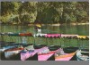 CPI B 12213 BUCURESTI. GRADINA CISMIGIU, BARCI, Circulata, Fotografie