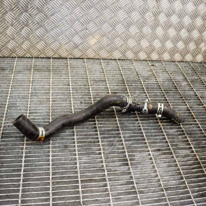 Furtun radiator răcire dreapta TOYOTA C-HR _X1_ 2017 3522445