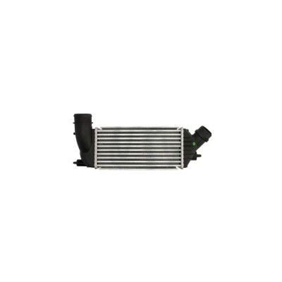 Intercooler CITROEN JUMPY AVA Quality Cooling CN4270 foto