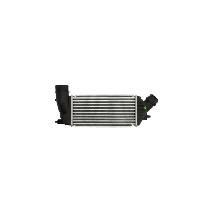 Intercooler CITROEN JUMPY AVA Quality Cooling CN4270