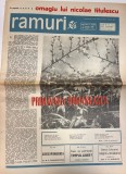 Cumpara ieftin Ramuri nr. 3 Almanah 1966 24 pagini 42x30 cm romana brosate bune