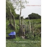 Between planting and picking, Sandi Haber Fifield