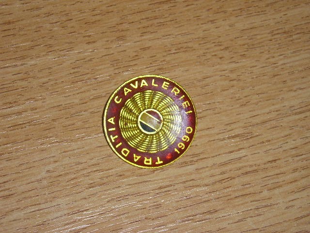 QW9 N2 60 - insigna - militar - traditia cavaleriei - anul 1990