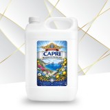 Cumpara ieftin Detergent Premium pentru rufe CAPRI, 5 Kg