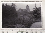 Bnk foto - Castelul Bran, Alb-Negru, Romania de la 1950, Cladiri