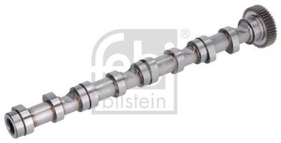 FEBI BILSTEIN 176931 Ax cu came foto