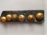 lot 6 nasturi uniforme militare Regatul Romaniei , arma infanterie .
