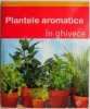 Plante Aromatice &icirc;n Ghivece - Engelbert Kotter - Carte Nouă/Anticariat