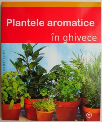 Plantele aromatice in ghivece &amp;ndash; Engelbert Kotter foto